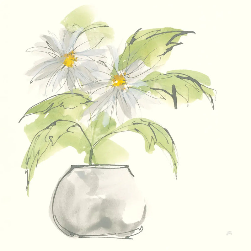 Plant Daisy I by Chris Paschke. SKU 55017a. Archival Giclee Fine art print for wall decor.