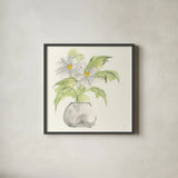 Plant Daisy I by Chris Paschke. Shown in a sleek black glass frame for a contemporary gallery look. Available as an archival giclee rolled canvas, fine art paper, or poster print. SKU 55017a.