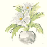 Plant Daisy II by Chris Paschke. SKU 55018a. Archival Giclee Fine art print for wall decor.