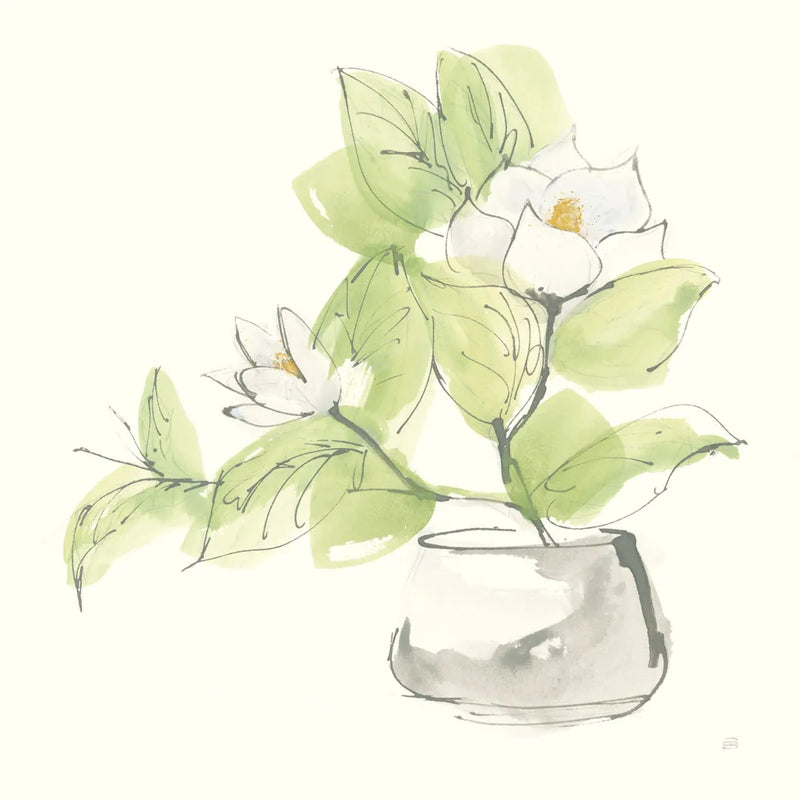 Plant Magnolia I by Chris Paschke. SKU 55040a. Archival Giclee Fine art print for wall decor.