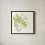 Plant Magnolia II by Chris Paschke. Shown in a sleek black glass frame for a contemporary gallery look. Available as an archival giclee rolled canvas, fine art paper, or poster print. SKU 55041a.