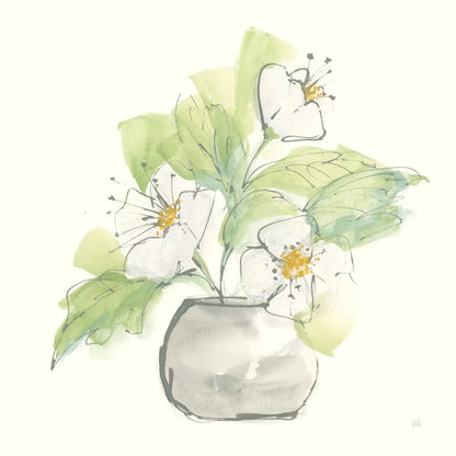 Plant Poppy I by Chris Paschke. SKU 55046a. Archival Giclee Fine art print for wall decor.