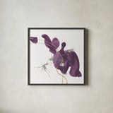 Plum and Gold II by Chris Paschke. Shown in a sleek black glass frame for a contemporary gallery look. Available as an archival giclee rolled canvas, fine art paper, or poster print. SKU 91457a.