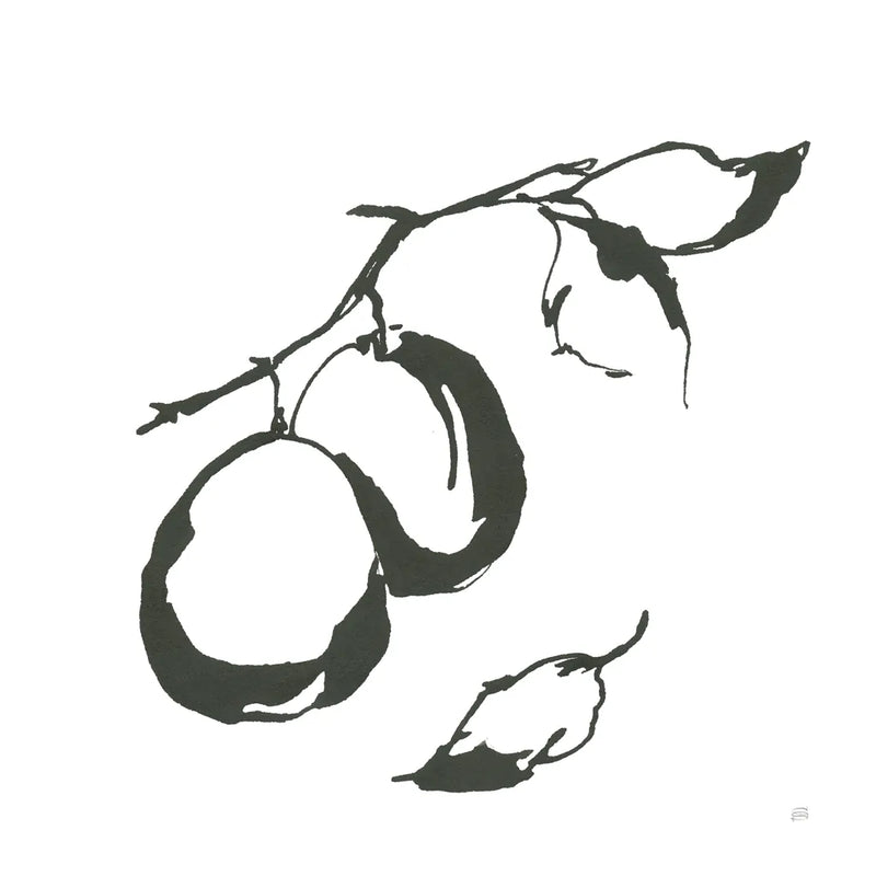 Plums I BW by Chris Paschke. SKU 64221a. Archival Giclee Fine art print for wall decor.
