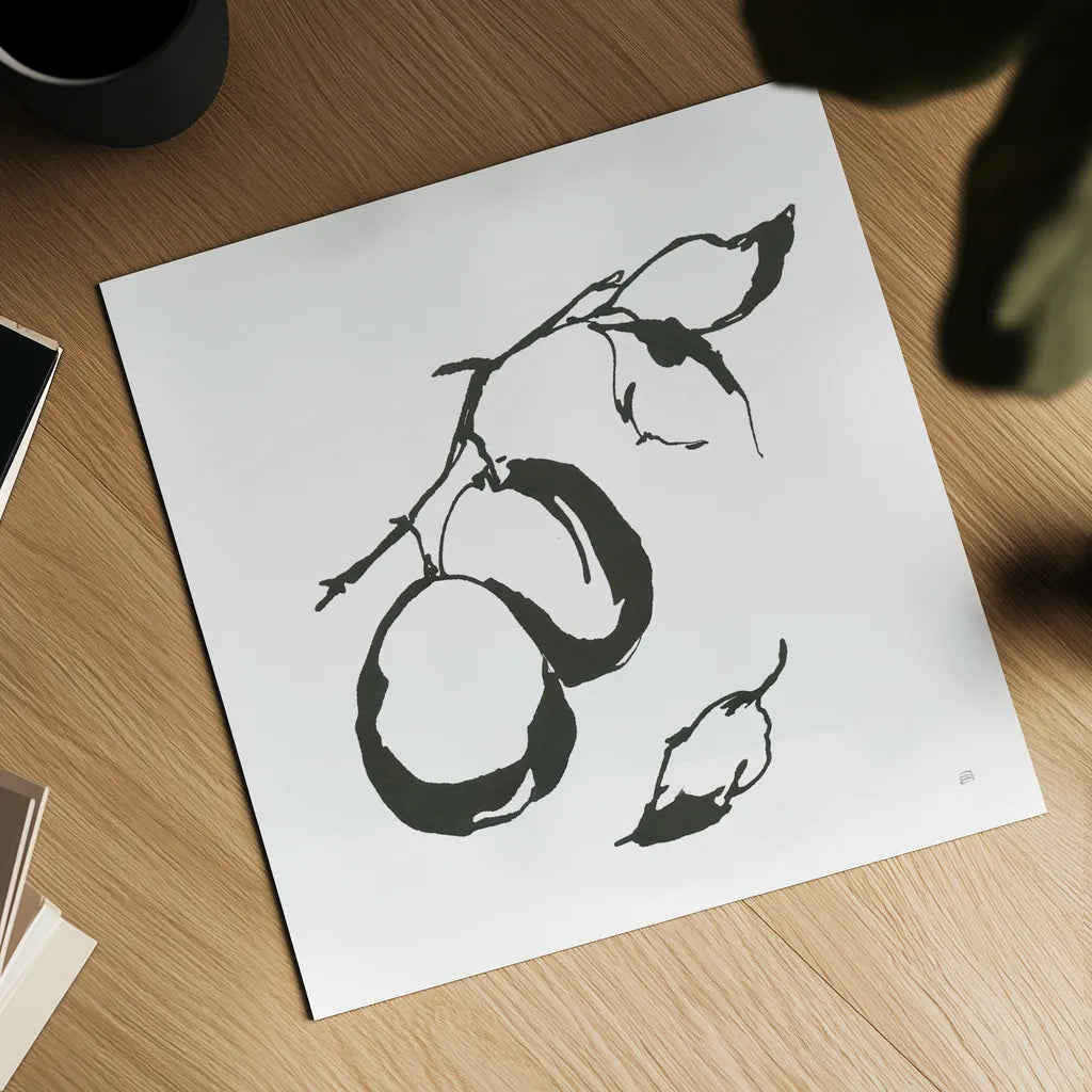 Plums I BW by Chris Paschke. Shown as a detailed flat fine art print, highlighting archival giclee quality. Available as an archival giclee rolled canvas, fine art paper, or poster print. SKU 64221a.