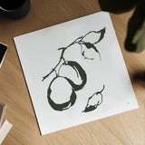 Plums I BW by Chris Paschke. Shown as a detailed flat fine art print, highlighting archival giclee quality. Available as an archival giclee rolled canvas, fine art paper, or poster print. SKU 64221a.