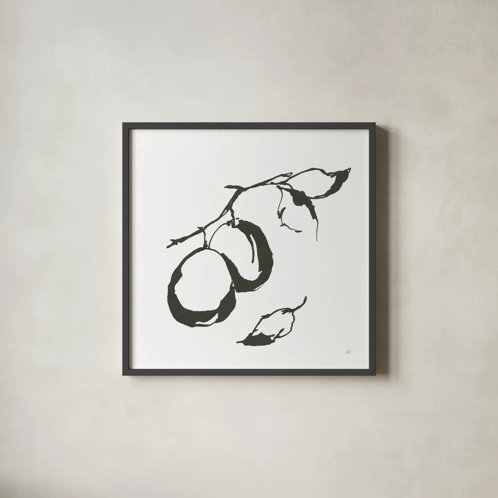 Plums I BW by Chris Paschke. Shown in a sleek black glass frame for a contemporary gallery look. Available as an archival giclee rolled canvas, fine art paper, or poster print. SKU 64221a.