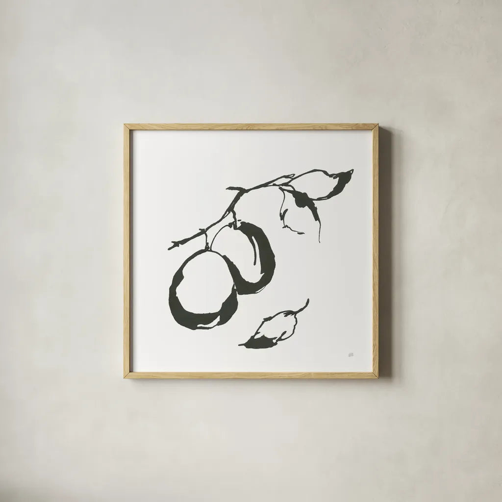 Plums I BW by Chris Paschke. Shown in a natural wood glass frame for a timeless modern aesthetic. Available as an archival giclee rolled canvas, fine art paper, or poster print. SKU 64221a.