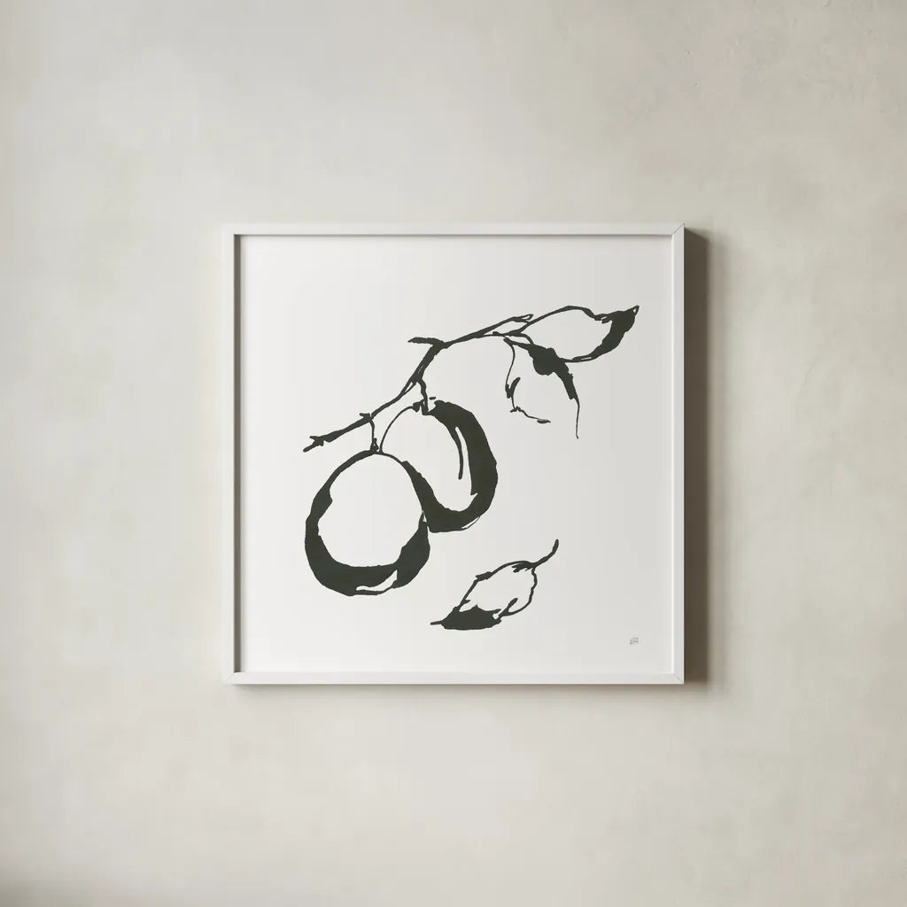 Plums I BW by Chris Paschke. Shown in a crisp white glass frame for a clean and minimalist style. Available as an archival giclee rolled canvas, fine art paper, or poster print. SKU 64221a.