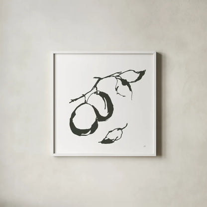 Plums I BW by Chris Paschke. Shown in a crisp white glass frame for a clean and minimalist style. Available as an archival giclee rolled canvas, fine art paper, or poster print. SKU 64221a.