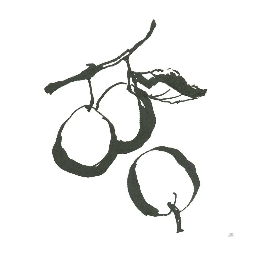 Plums II BW by Chris Paschke. SKU 64222a. Archival Giclee Fine art print for wall decor.