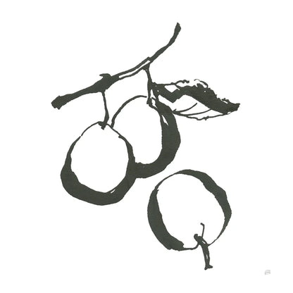 Plums II BW by Chris Paschke. SKU 64222a. Archival Giclee Fine art print for wall decor.
