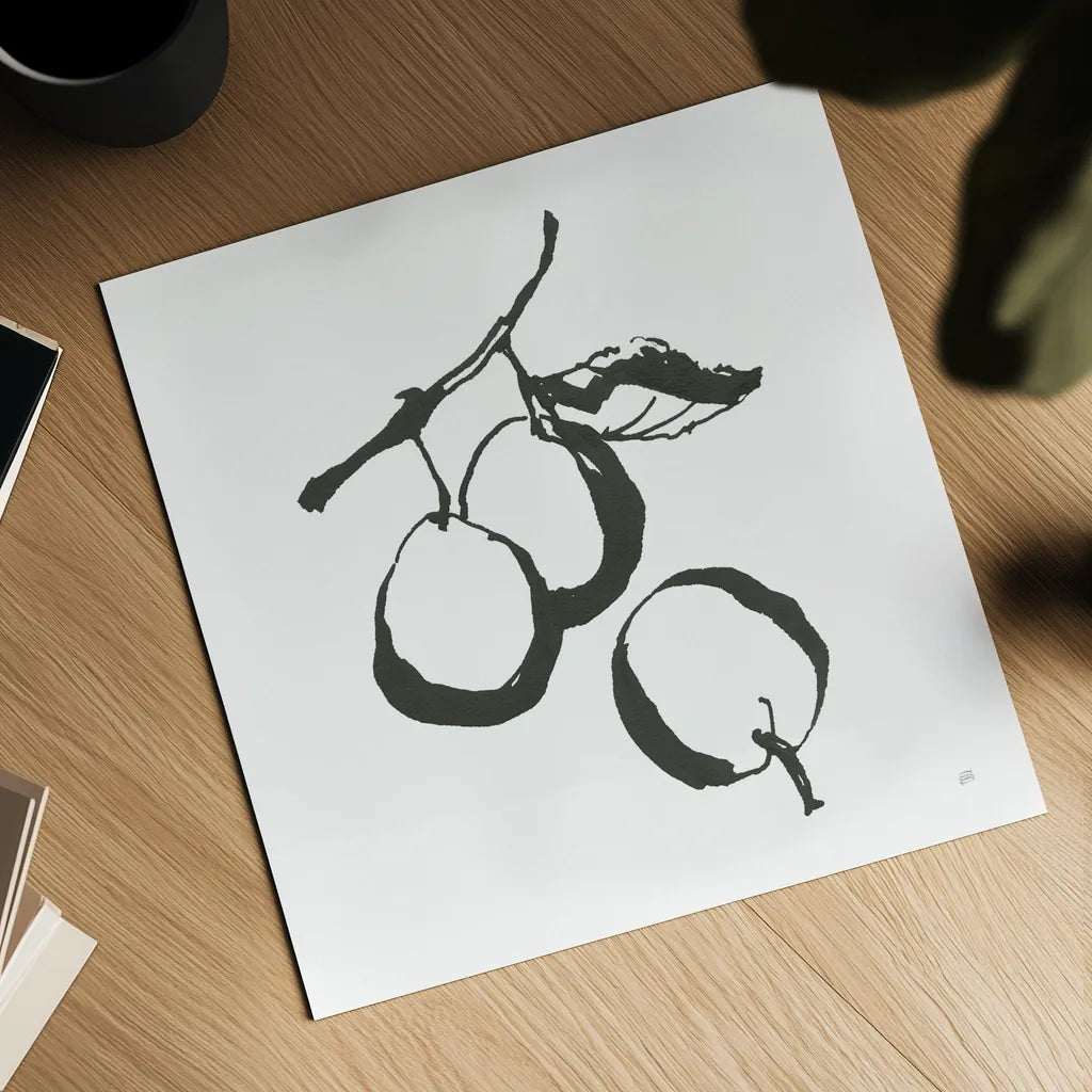 Plums II BW by Chris Paschke. Shown as a detailed flat fine art print, highlighting archival giclee quality. Available as an archival giclee rolled canvas, fine art paper, or poster print. SKU 64222a.