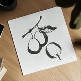 Plums II BW by Chris Paschke. Shown as a detailed flat fine art print, highlighting archival giclee quality. Available as an archival giclee rolled canvas, fine art paper, or poster print. SKU 64222a.