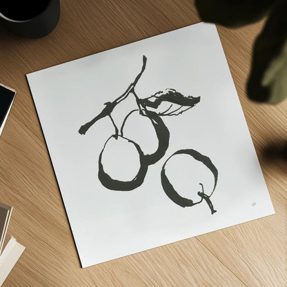 Plums II BW by Chris Paschke. Shown as a detailed flat fine art print, highlighting archival giclee quality. Available as an archival giclee rolled canvas, fine art paper, or poster print. SKU 64222a.