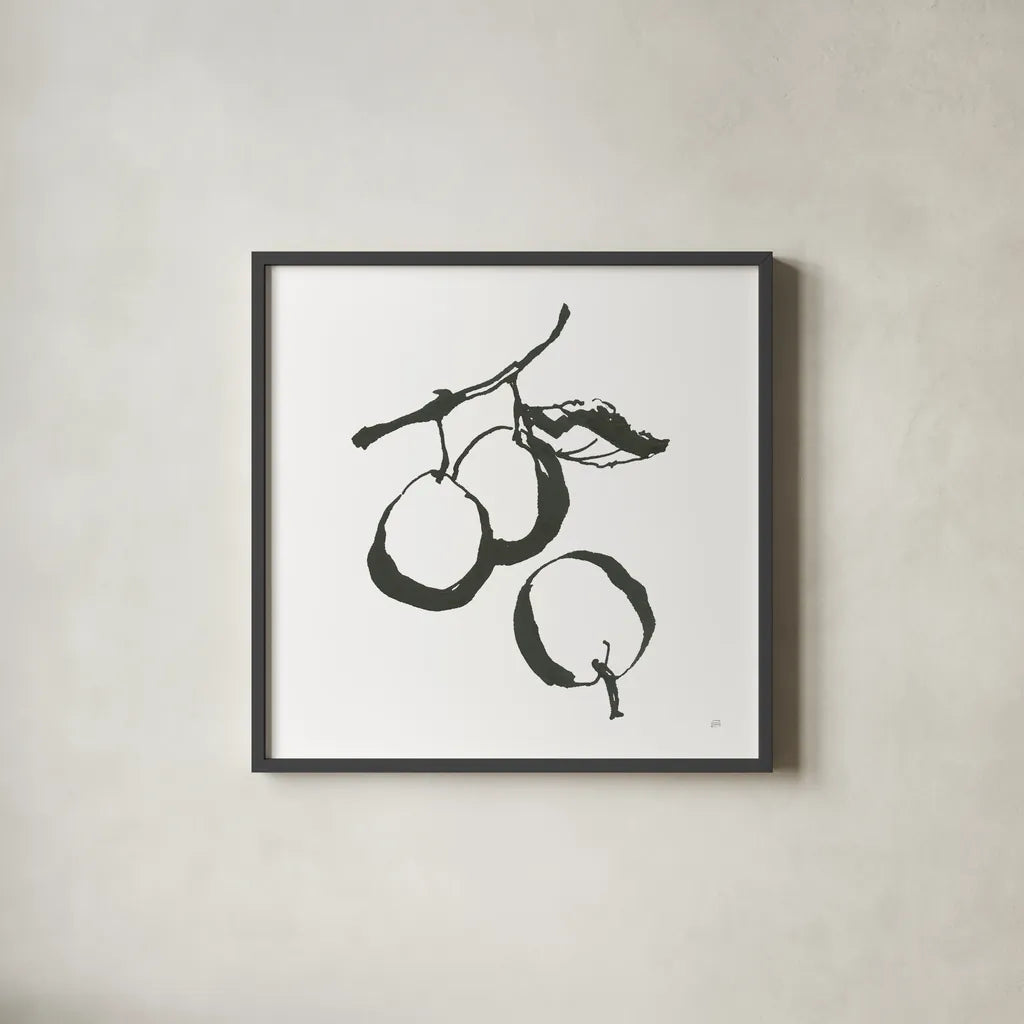 Plums II BW by Chris Paschke. Shown in a sleek black glass frame for a contemporary gallery look. Available as an archival giclee rolled canvas, fine art paper, or poster print. SKU 64222a.