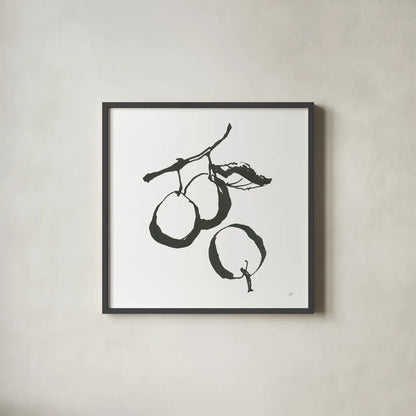 Plums II BW by Chris Paschke. Shown in a sleek black glass frame for a contemporary gallery look. Available as an archival giclee rolled canvas, fine art paper, or poster print. SKU 64222a.
