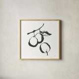 Plums II BW by Chris Paschke. Shown in a natural wood glass frame for a timeless modern aesthetic. Available as an archival giclee rolled canvas, fine art paper, or poster print. SKU 64222a.