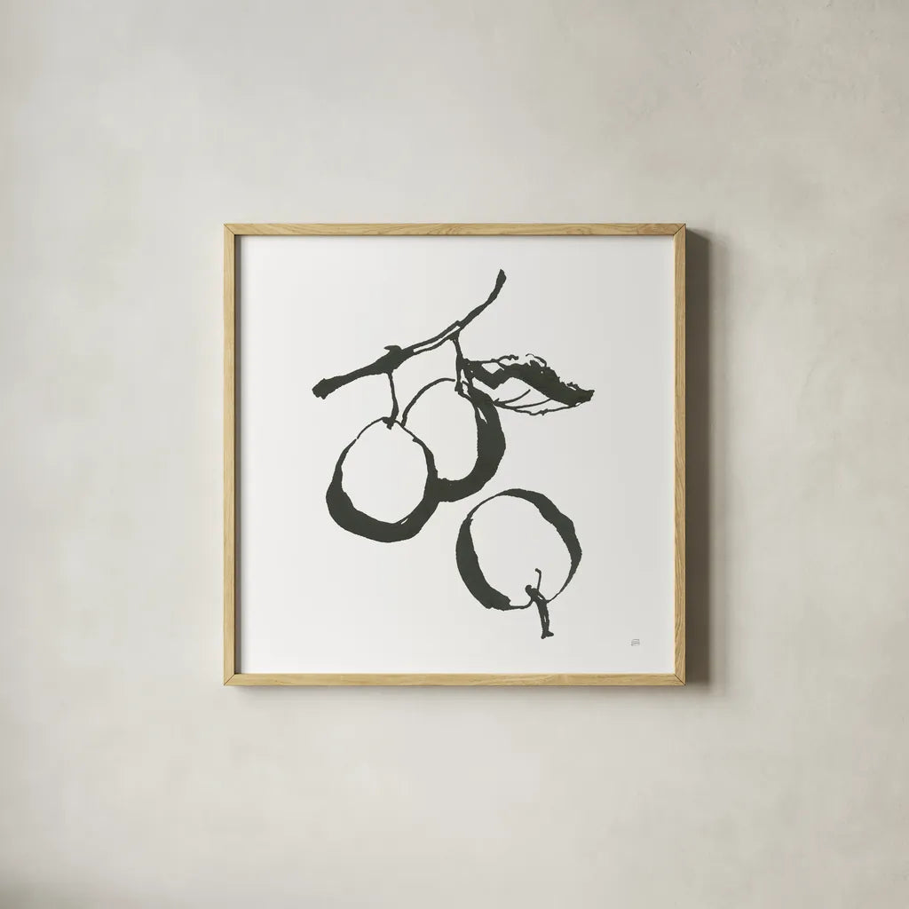 Plums II BW by Chris Paschke. Shown in a natural wood glass frame for a timeless modern aesthetic. Available as an archival giclee rolled canvas, fine art paper, or poster print. SKU 64222a.