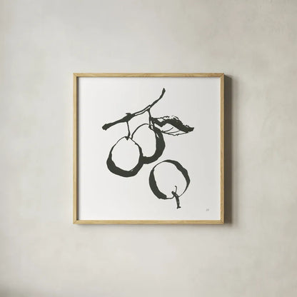 Plums II BW by Chris Paschke. Shown in a natural wood glass frame for a timeless modern aesthetic. Available as an archival giclee rolled canvas, fine art paper, or poster print. SKU 64222a.