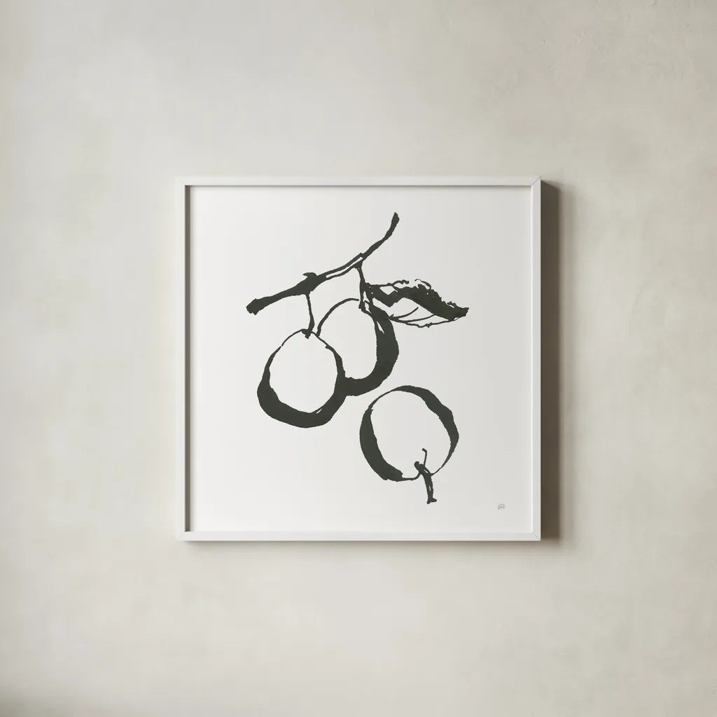 Plums II BW by Chris Paschke. Shown in a crisp white glass frame for a clean and minimalist style. Available as an archival giclee rolled canvas, fine art paper, or poster print. SKU 64222a.