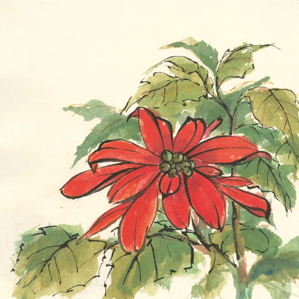 Poinsettia I by Chris Paschke. SKU 44518a. Archival Giclee Fine art print for wall decor.