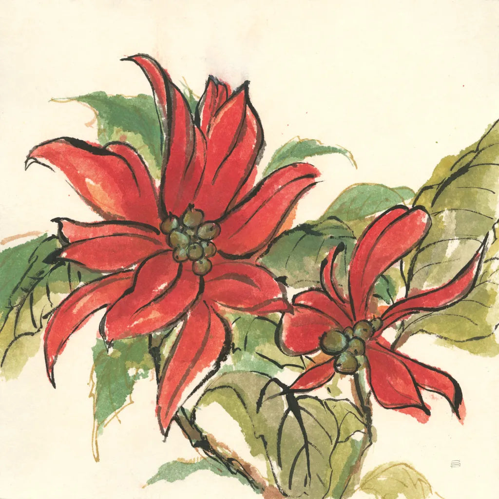 Poinsettia II by Chris Paschke. SKU 44519a. Archival Giclee Fine art print for wall decor.