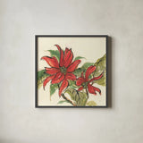 Poinsettia II by Chris Paschke. Shown in a sleek black glass frame for a contemporary gallery look. Available as an archival giclee rolled canvas, fine art paper, or poster print. SKU 44519a.