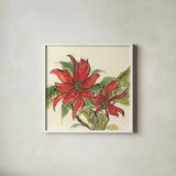 Poinsettia II by Chris Paschke. Shown in a crisp white glass frame for a clean and minimalist style. Available as an archival giclee rolled canvas, fine art paper, or poster print. SKU 44519a.