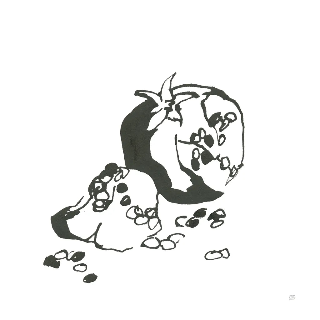 Pomegranate I BW by Chris Paschke. SKU 64223a. Archival Giclee Fine art print for wall decor.