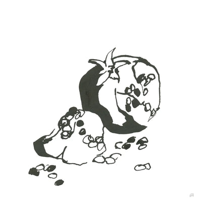 Pomegranate I BW by Chris Paschke. SKU 64223a. Archival Giclee Fine art print for wall decor.