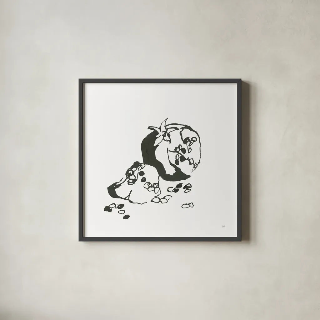 Pomegranate I BW by Chris Paschke. Shown in a sleek black glass frame for a contemporary gallery look. Available as an archival giclee rolled canvas, fine art paper, or poster print. SKU 64223a.