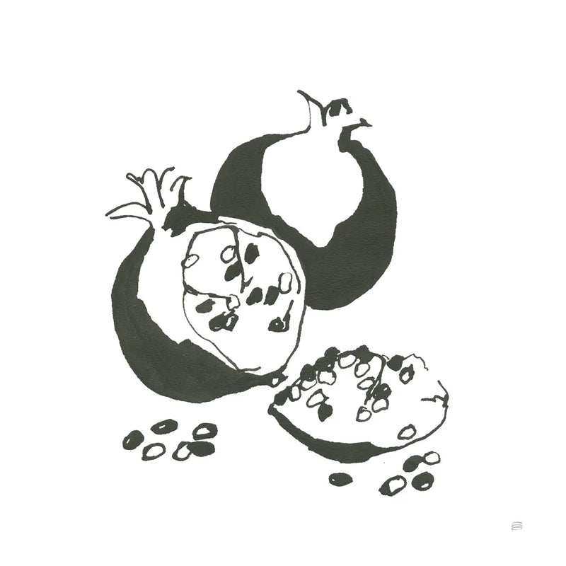 Pomegranate II BW by Chris Paschke. SKU 64224a. Archival Giclee Fine art print for wall decor.