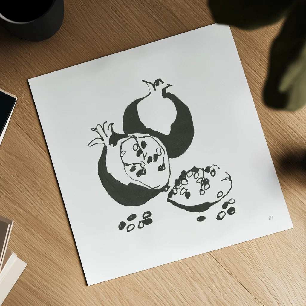 Pomegranate II BW by Chris Paschke. Shown as a detailed flat fine art print, highlighting archival giclee quality. Available as an archival giclee rolled canvas, fine art paper, or poster print. SKU 64224a.