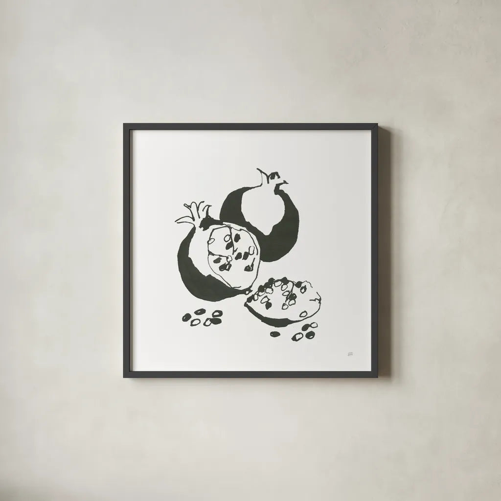 Pomegranate II BW by Chris Paschke. Shown in a sleek black glass frame for a contemporary gallery look. Available as an archival giclee rolled canvas, fine art paper, or poster print. SKU 64224a.