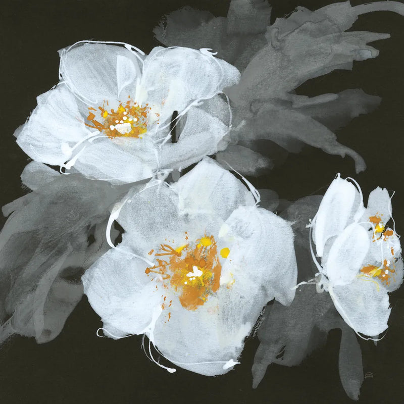 Poppies II by Chris Paschke. SKU 80764a. Archival Giclee Fine art print for wall decor.