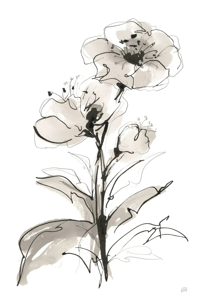 Poppy I by Chris Paschke. SKU 74368h. Archival Giclee Fine art print for wall decor.