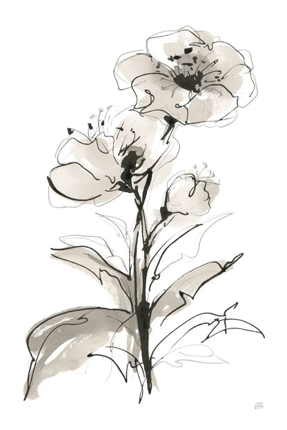 Poppy I by Chris Paschke. SKU 74368h. Archival Giclee Fine art print for wall decor.