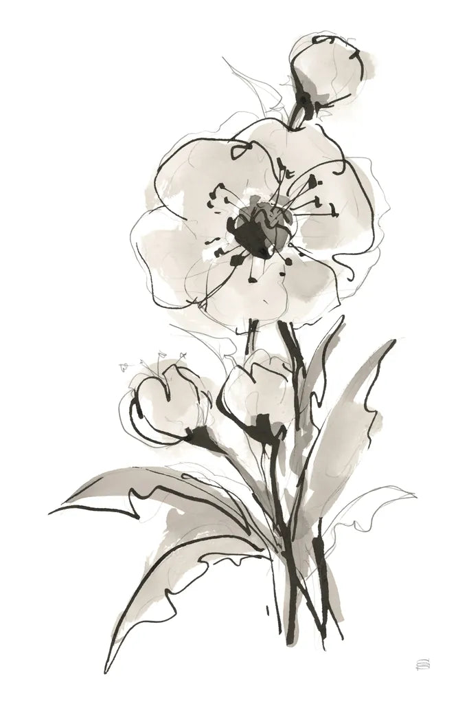 Poppy II by Chris Paschke. SKU 74369h. Archival Giclee Fine art print for wall decor.