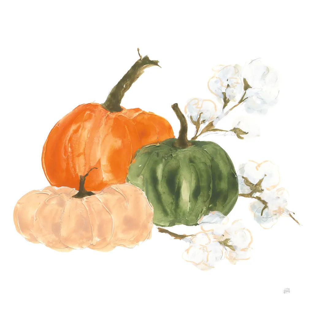 Pumpkins and Cotton I by Chris Paschke. SKU 81866a. Archival Giclee Fine art print for wall decor.