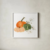 Pumpkins and Cotton I by Chris Paschke. Shown in a crisp white glass frame for a clean and minimalist style. Available as an archival giclee rolled canvas, fine art paper, or poster print. SKU 81866a.