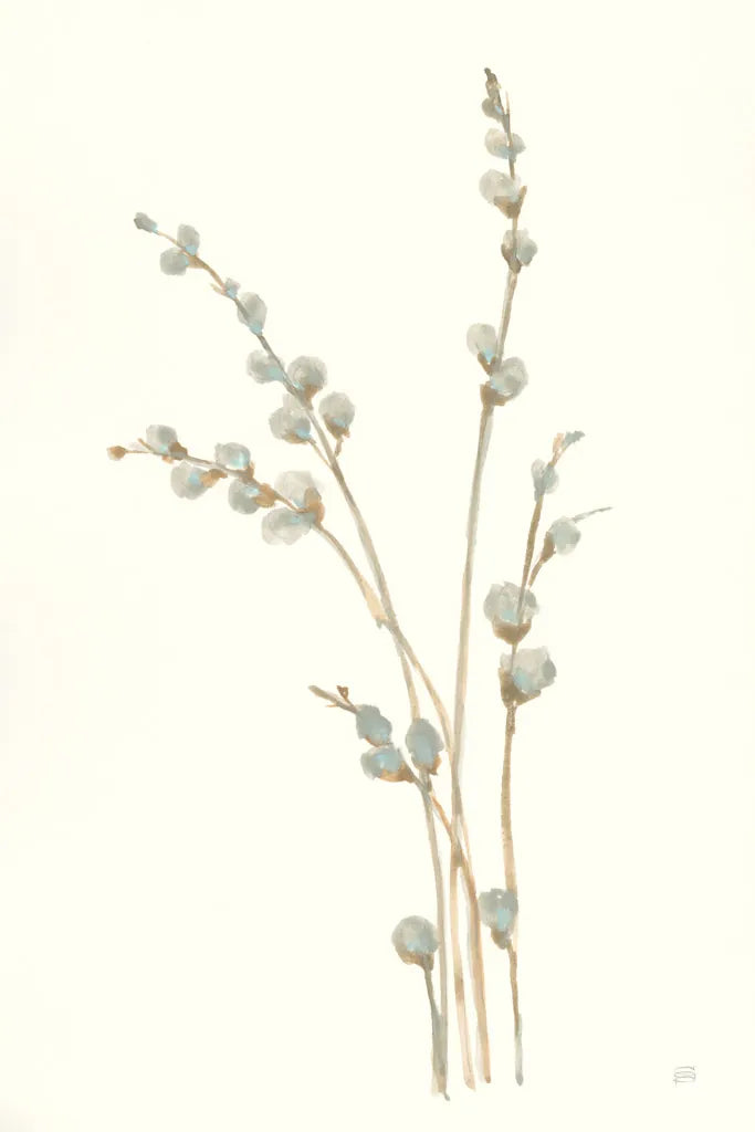 Pussy Willows I by Chris Paschke. SKU 55079h. Archival Giclee Fine art print for wall decor.