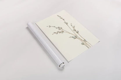 Pussy Willows I by Chris Paschke. shown as a rolled paper print. Available as archival giclee rolled canvas, fine art paper, or poster print. SKU 55079h.