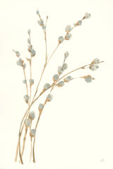 Pussy Willows II by Chris Paschke. SKU 55080h. Archival Giclee Fine art print for wall decor.