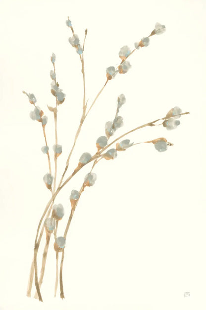 Pussy Willows II by Chris Paschke. SKU 55080h. Archival Giclee Fine art print for wall decor.