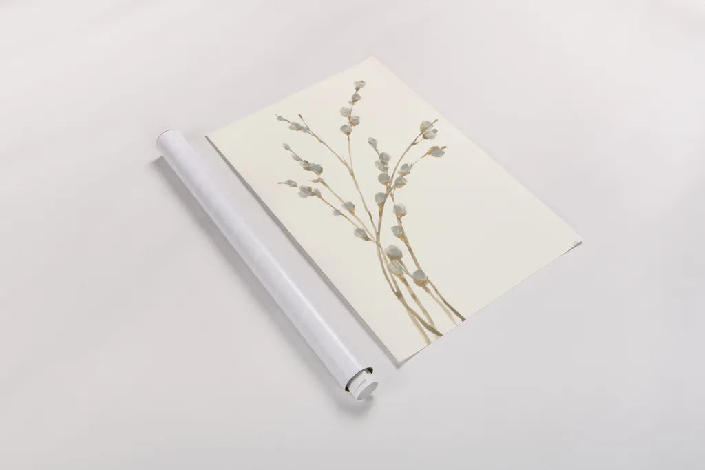 Pussy Willows II by Chris Paschke. shown as a rolled paper print. Available as archival giclee rolled canvas, fine art paper, or poster print. SKU 55080h.