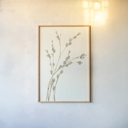 Pussy Willows II by Chris Paschke. shown as a paper print in a natural frame. Available as a archival giclee rolled canvas, fine art paper, or poster print. SKU 55080h.