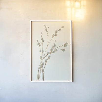 Pussy Willows II by Chris Paschke. shown as a paper print in a white frame. Available as a archival giclee rolled canvas, fine art paper, or poster print. SKU 55080h.