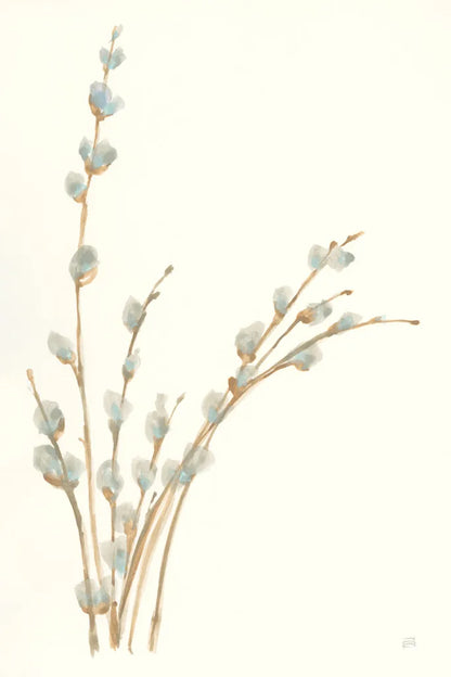 Pussy Willows III by Chris Paschke. SKU 55081h. Archival Giclee Fine art print for wall decor.