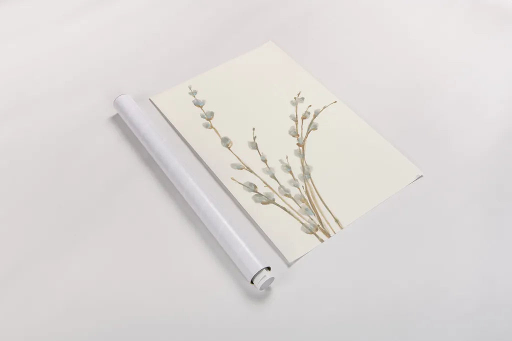 Pussy Willows III by Chris Paschke. shown as a rolled paper print. Available as archival giclee rolled canvas, fine art paper, or poster print. SKU 55081h.